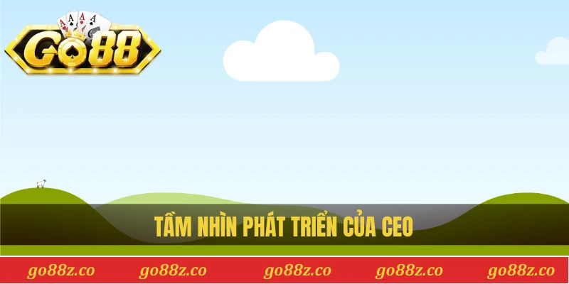 Tầm nhìn phát triển của CEO
